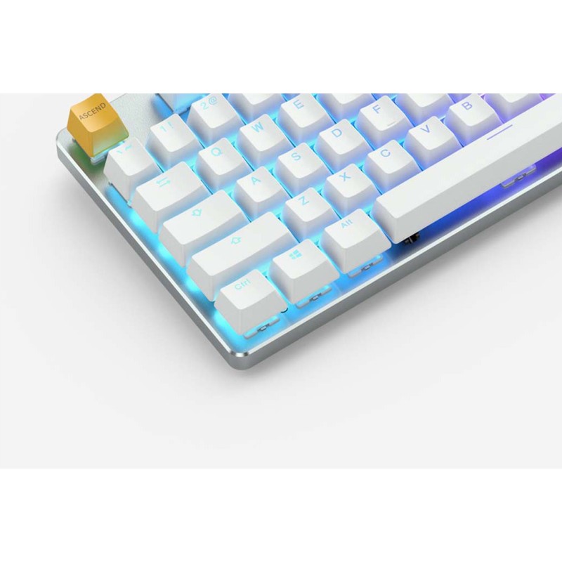 Glorious GMMK Modular Mechanical keyboard (White ice) - Gateron Brown Switch